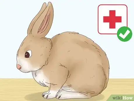 Image titled Choose a Rabbit Breed Step 11