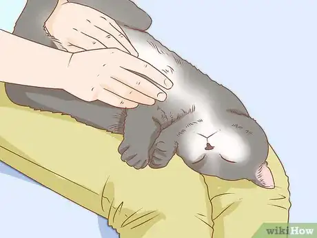 Image titled Trim Your Cat's Nails Step 6