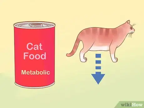 Image titled Put Your Cat on a Diet Step 10