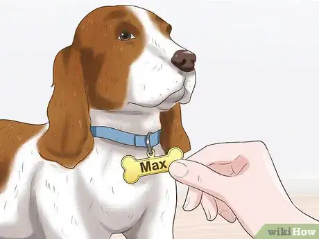 Image titled Train Your New Dog to Respond to a New Name Step 13