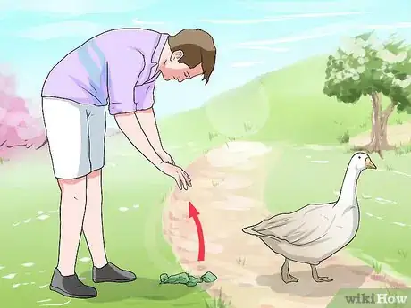 Image titled Feed Geese Safely Step 14