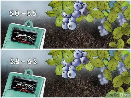 Image titled Adjust Soil pH Step 3