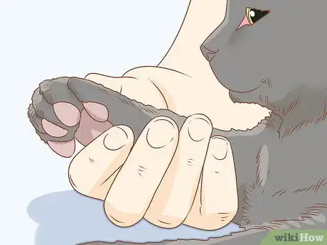 Image titled Trim Your Cat's Nails Step 3