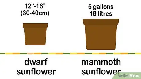 Image titled Grow a Sunflower in a Pot Step 3