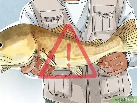 Image titled Unhook a Fish Step 12