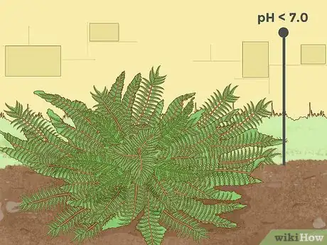 Image titled Lower Soil pH Step 16