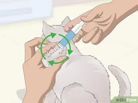 Image titled Keep a Cat in Diabetic Remission Step 4