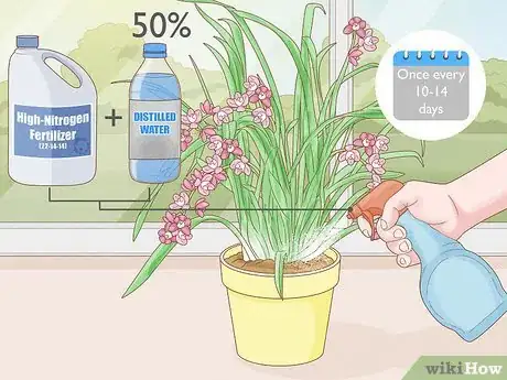 Image titled Grow Cymbidium Orchids Step 5