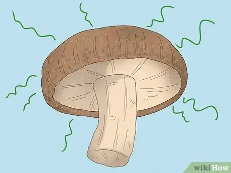 Image titled Tell if Mushrooms Are Bad Step 3