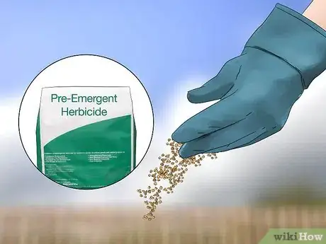 Image titled Get Rid of Crabgrass Step 1