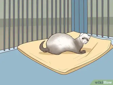 Image titled Choose a Cage for a Ferret Step 10