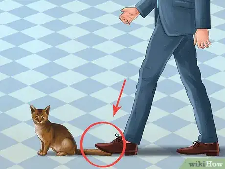 Image titled Treat a Cat with a Tail Pull Injury Step 1