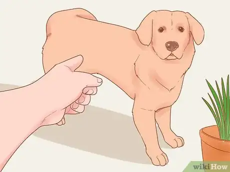 Image titled Stop Your Dog from Eating Grass Step 11