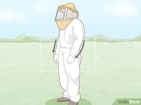 Image titled Remove Bees Step 6