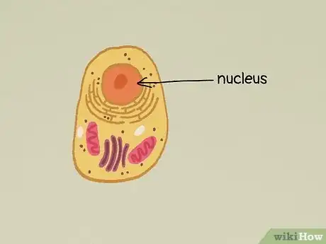 Image titled What Do All Cells Have in Common Step 12