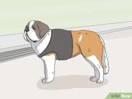 Image titled Identify a Service Dog Step 10