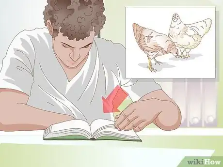 Image titled Get Your Hen to Become Broody Step 12