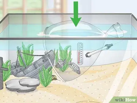 Image titled Set up a Tropical Freshwater Aquarium Step 17