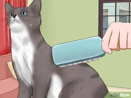 Image titled Clean Your Cat When He Can't Do It Himself Step 2