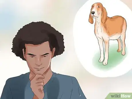 Image titled Learn Breeds of Dogs Step 12