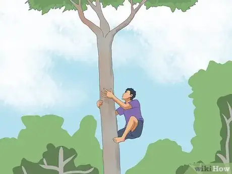 Image titled Climb a Tree With No Branches Step 15