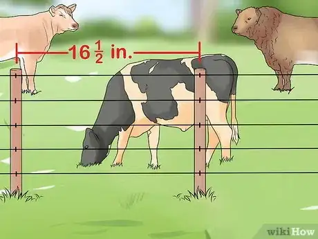 Image titled Start a Cattle Farm Step 19