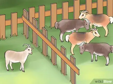 Image titled Treat Goats for Ticks and Fleas Step 12