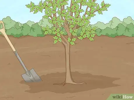 Image titled Replant a Tree Step 6