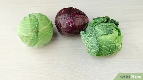 Image titled Core a Cabbage Step 1