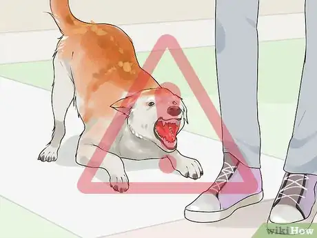 Image titled Gain Trust in an Aggressive Dog Step 16