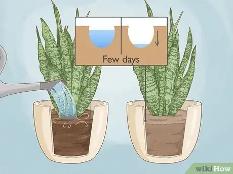 Image titled When to Repot Snake Plant Step 5