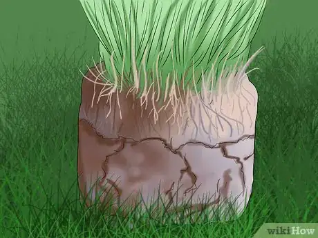 Image titled Get and Maintain a Healthy Lawn Step 16