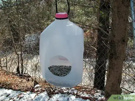 Image titled Build a Milk Jug Bird Feeder Intro