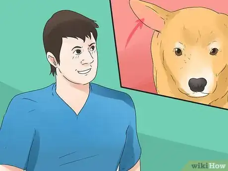 Image titled Tell if Your Dog Is Deaf Step 4