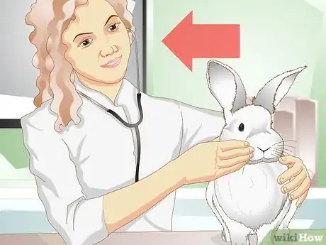 Image titled Care for a Rabbit with GI Stasis Step 5