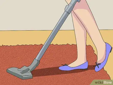 Image titled Clean Shag Carpet Step 11