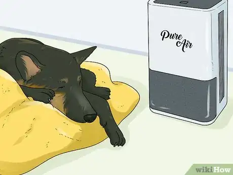 Image titled Keep a German Shepherd's Coat Shiny Step 12