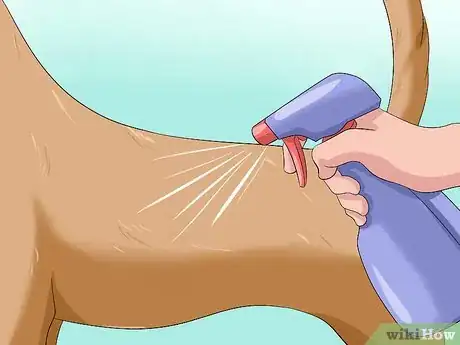 Image titled Remove Skunk Odor from Dogs Step 4