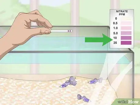 Image titled Lower Your Nitrate_Nitrite Levels in Your Fish Tank Step 1