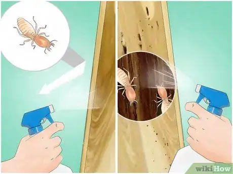 Image titled Get Rid of Subterranean Termites Step 4