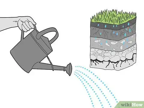 Image titled Water Your Lawn Efficiently Step 4