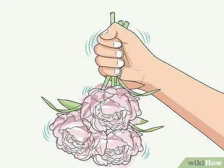 Image titled Keep Ants off Peonies Step 7