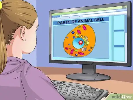 Image titled Make an Animal Cell for a Science Project Step 2