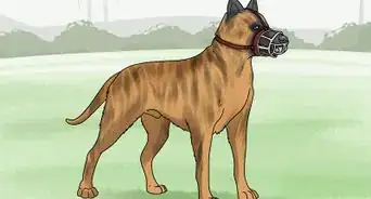 Use a Muzzle to Correct Nipping in Dogs