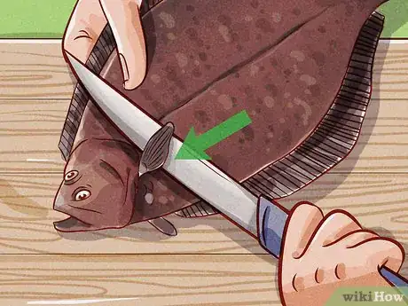 Image titled Clean Flounder Step 5