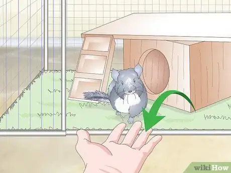 Image titled Care for Chinchillas Step 15