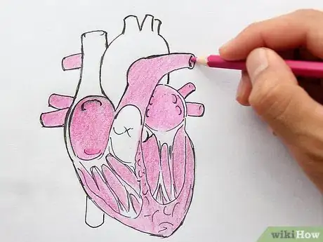 Image titled Draw the Internal Structure of the Heart Step 13