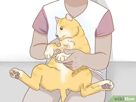 Image titled Trim Your Cat's Nails Step 8