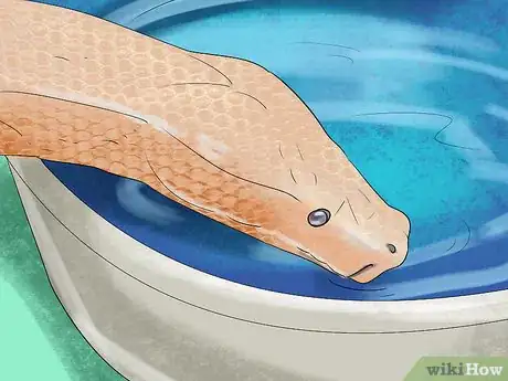 Image titled Look After a Reticulated Python Step 10