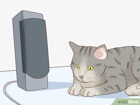 Image titled Tell if Your Cat Is Depressed Step 12